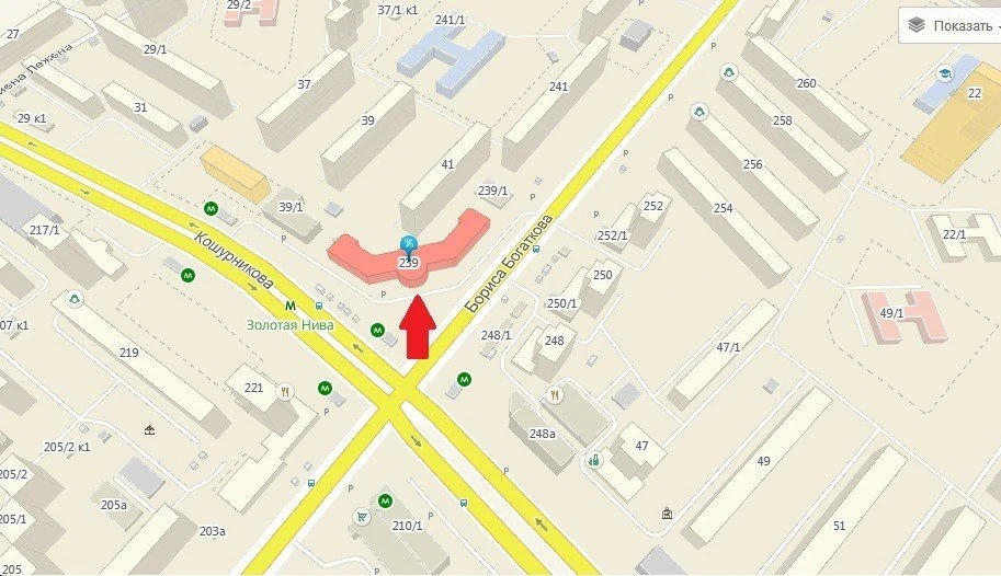 золотая нива2