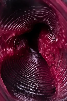 914e99b6-9c55-45c6-b9b6-3d6c8f86720b