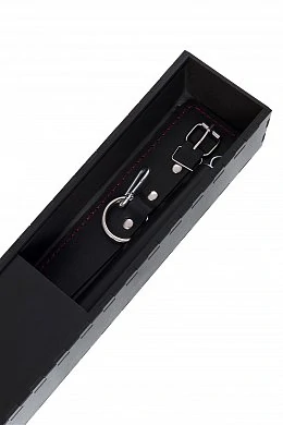 6202fe21-0860-4762-9cd0-ff0c06645947