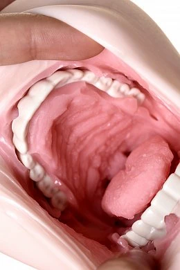 8266dee5e3e993a642a9f716af1cbf1b