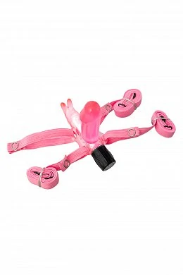 5b55d6bf-67a0-4f2c-8d67-8b5f7700128b