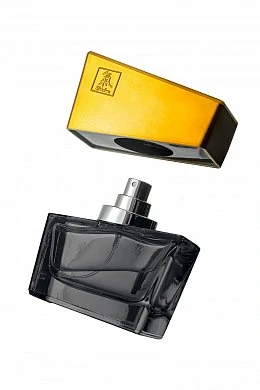 3515c50f-7269-412c-b62a-f69bcf770abc