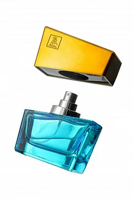 6355420c-8941-4035-8db4-5472fdfb18af