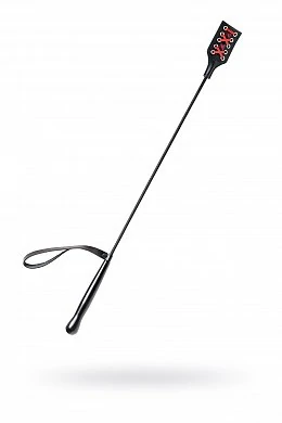 68f9fcc8-7ed3-4dd2-adc5-596653f0c5cb