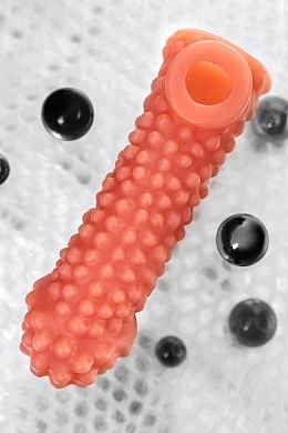 ea2fb99d-0de1-48b3-a62d-e6ce8062e157