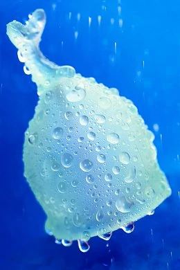 3255080c-46bc-4e88-b94a-27c6e74c48cf