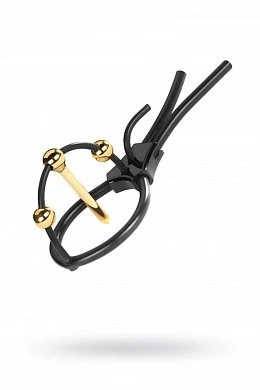 acf100d1-9eb1-4515-a8d4-5a7753263295