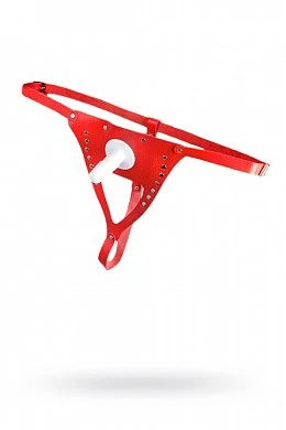 511eed42-5a9d-47cb-83ef-eab62ca5448c