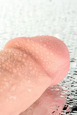 031d2125-9699-4658-9409-0423c8022548