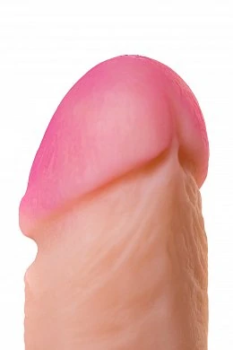 95c60a0d-8fb5-4af5-a716-e31f9a52c41b