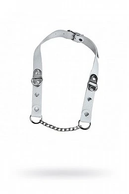 13647528-3c3f-4569-a6d3-b34541a42286