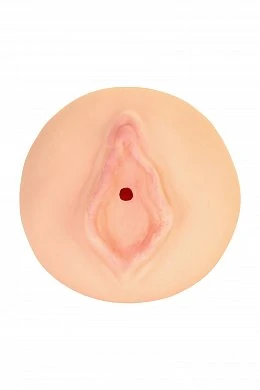 0d0b1c72-32e8-498b-93ee-73f9ca331803