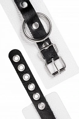 422bb67e-20a9-4234-9edc-4991a82257d7