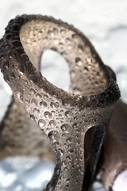 02616432-e986-4c53-9df7-46eec0efcdf9