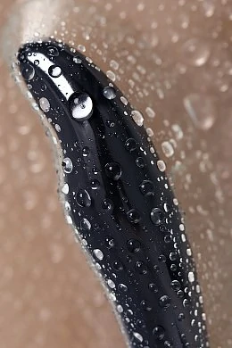 473c9df4-31b9-495e-8d48-5ec71d4a1208