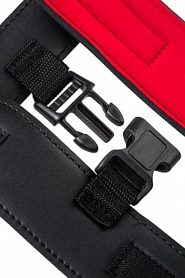 bcf3e132-b1cd-468e-8227-ade9595c199e