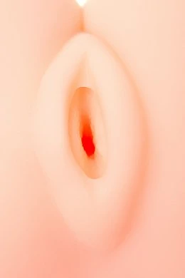 622ed9a2-caf0-43e2-8669-4f776e23a9e2