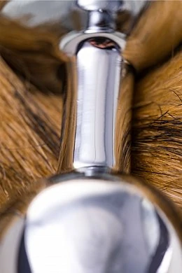 d9da473c-6464-4c17-94e4-51776a865870