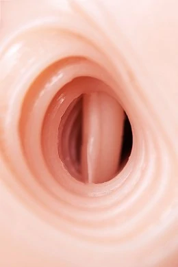 b2e8493b-4ccf-468d-a0e8-3a51424b4e1d