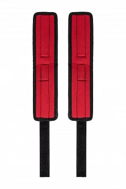 becffa56-fab4-445d-bcd4-b7963e54727b