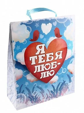 Подарочный пакет 26*32 см Я тебя люблю — купить в секс-шопе LoveDoctor