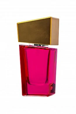 f4d95657-19a7-44f6-9970-514234011e1c