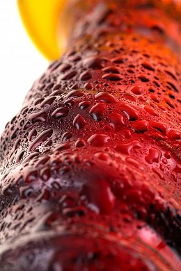 50a90bc0-287e-4e5b-be06-114c14e607cf