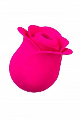 9dc0c5ce-9b20-4e69-ad81-c05ee738ae6c