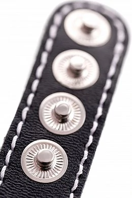 b5818083-241e-487f-9a1e-861bd696a425