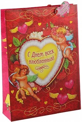 Подарочный пакет 18*23 см С днем всех влюбленных — купить в секс-шопе LoveDoctor