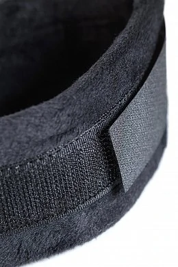 38d498a5-e475-42a8-8c68-8338b153bd10