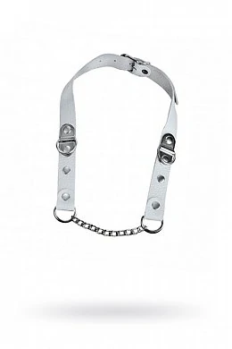 13647528-3c3f-4569-a6d3-b34541a42286