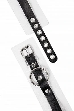 22767cc7-0bed-4cc8-bd32-00ee17f414b2