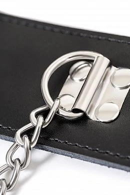 d0a8ab90-7b5c-4faa-8a8a-b31033cbf6f2