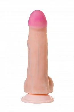 e281e463-34c0-4480-b9ad-9c58ce72bb99