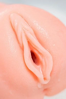 2e2a749e-778f-4ba2-8dcd-b70feec8faee