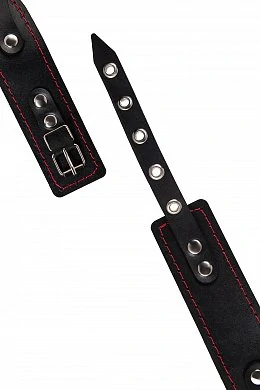 f006c409-1a7f-4552-beab-1c1826830d06