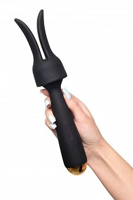 c254efe5-fd09-4444-b26b-079a558d4db4