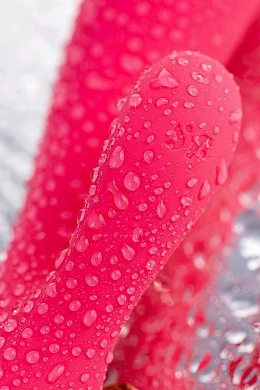 f8f070ce-d2c9-4aef-91bd-7763d93e5ccd