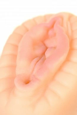 c454c36e-8afc-42a6-a903-81e446f43c42