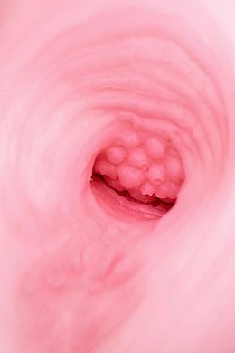 4adc40d9-3793-4090-a9c0-1e226ff3e0d0