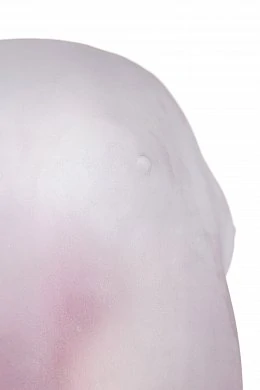 e0116d61-1e36-4e9a-8a62-1b2eb19a98fd