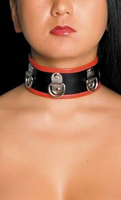 Ошейник кожа черно-красный — купить в секс-шопе LoveDoctor