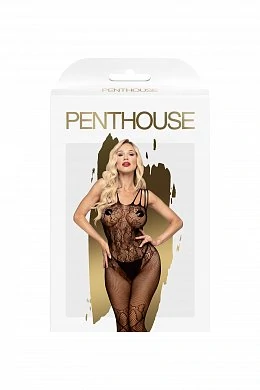 Костюм-сетка Dirty mind Penthouse черный S/L — фото 3