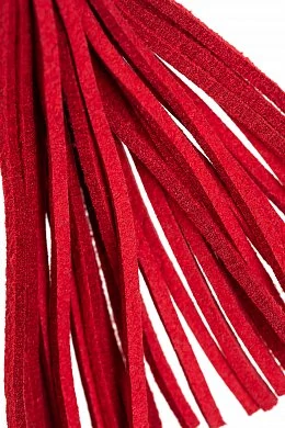 33bfd831-662d-43ad-bca1-09b2bdaaee15