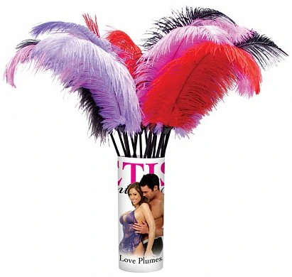 Перышко Love Plumes — купить в секс-шопе LoveDoctor