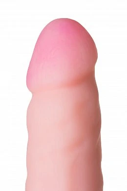 cca78387-281b-4074-ac4c-1d0a6d741414