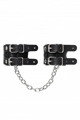 48293ff7-0ccf-438d-a999-4ecf3cb76ed1