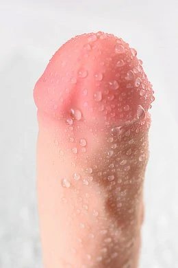 595d9a27-3781-402d-8afc-dc723294f21f