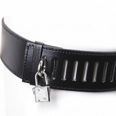 k9qnc4zie3afqfd0cfnpgf7xvd58eq0q